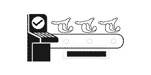 18 उत्पादन ओळी